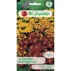 Tagetes rozptýlené - směs - Semena - W. Legutko