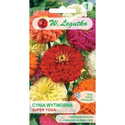 Zinnia - elegantní - Super jóga - Semena - W. Legutko