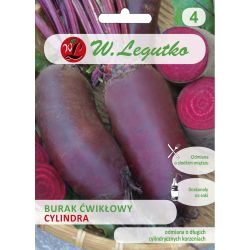 Červená řepa - válec - Semena - W. Legutko
