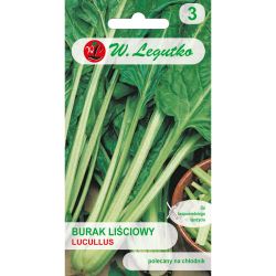 Řepa listová - Lucullus - Semena - W. Legutko