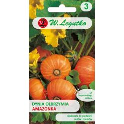 Obří dýně - Amazonka - Semena - W. Legutko