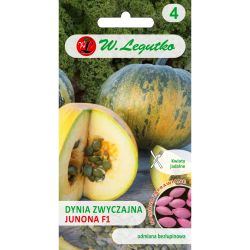 Dýně - Juno - nám. ostřílený - Semena - W. Legutko