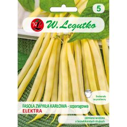 Zelené fazolky - Elektra - Semena - W. Legutko