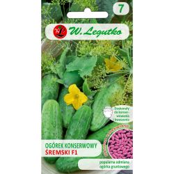 Nakládaná okurka (se semínky, kořeněná) - Śremski F1 - 5g - Semena - W. Legutko