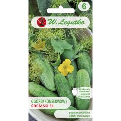 Okurka - konzerva - Śremski F1 - 3g - Semena - W. Legutko