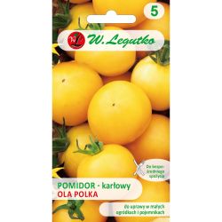 Zakrslé rajče polní s tuhými stonky - Ola Polka - Semena - W. Legutko