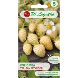 Lesní jahoda - Yellow Wonder - Semena - W. Legutko