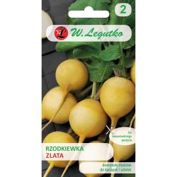 Ředkev kulatá - Zlata - Semena - W. Legutko