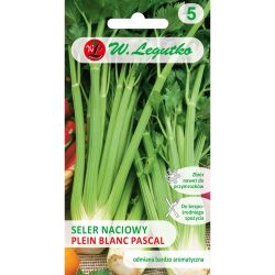 Celer - Plein blanc Pascal - Semena - W. Legutko