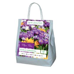 Crocus - mix - 60 ks. - Cibule a oddenky - W. Legutko Crocus - mix - 60 ks. - Cibule a oddenky - W. Legutko