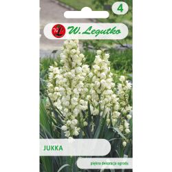 Yucca - bílá - Semena - W. Legutko