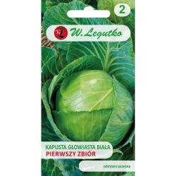 Bílé zelí - první sklizeň - Semena - W. Legutko