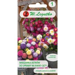 Čínská astra na řezané květiny - směs - Semena - W. Legutko