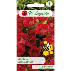 Godetia, Letní azalka - červená - Semena - W. Legutko