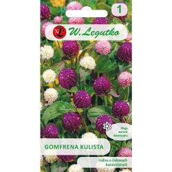 Gomphrena sférická - směs - Semena - W. Legutko