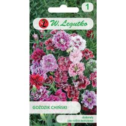 Čínský karafiát - směs - Semena - W. Legutko