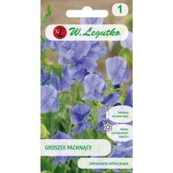 Sladký hrášek - modrý - Semena - W. Legutko