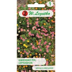 Stardust, Leptosifon - směs - Semena - W. Legutko
