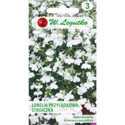 Cape lobelia, Reed - bílá - Semena - W. Legutko