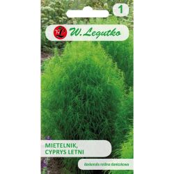 Mietelnik, Letní cypřiš - zelený - Semena - W. Legutko