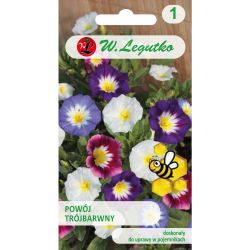 Svlačec tříbarevný - směs - Semena - W. Legutko
