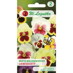 Pansy - Švýcarská - Typ Liebesduett - Semena - W. Legutko