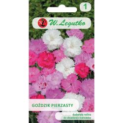 Karafiát - zpeřený - mix - Semena - W. Legutko