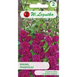 Sléz, Marshmallow - fialová - Semena - W. Legutko