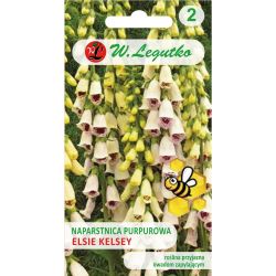Fialová náprstník - Elsie Kelsey - Semena - W. Legutko