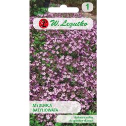 Alpská pomněnka - růžová - Semena - W. Legutko Alpská pomněnka - růžová - Semena - W. Legutko