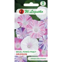 Vrba - plazivá - Harlekýn - Semena - W. Legutko