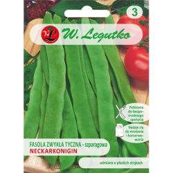 Fazole - zelené fazolky - Neckarkönigin - Semena - W. Legutko