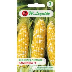 Kukuřice - sladká - Ramondia F1 - Semena - W. Legutko