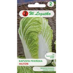 Zelí - čínské - Hilton - Semena - W. Legutko