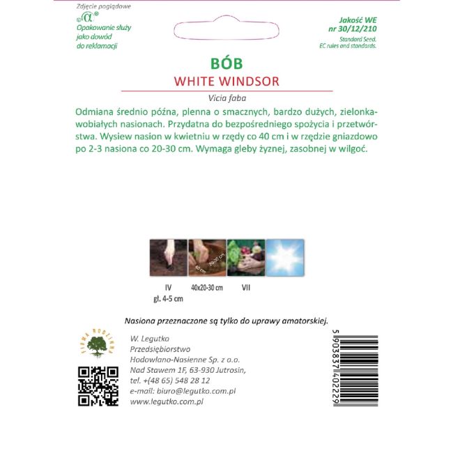 Fazol zahradní - Windsor - Bílý - Semena - W. Legutko