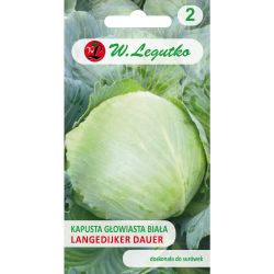 Zelí hlávkové - bílé - Langedijker Dauer - Semena - W. Legutko