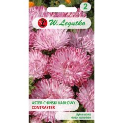 Zakrslá astra čínská - Kontrast - růžová a bílá - Semena - W. Legutko