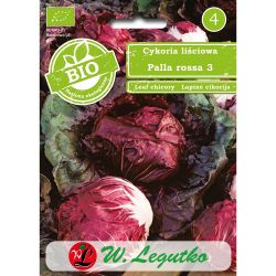 Čekanka - hlávkový salát - Palla rossa 3 - Semena - W. Legutko Čekanka - hlávkový salát - Palla rossa 3 - Semena - W. Legutko