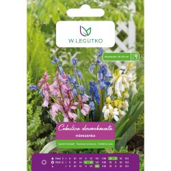 Cibule - směs - 5 ks. - Cibule a oddenky - W. Legutko Cibule - směs - 5 ks. - Cibule a oddenky - W. Legutko