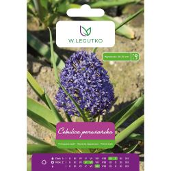 Peruánská cibule - modrá - 1 ks. - Cibule a oddenky - W. Legutko Peruánská cibule - modrá - 1 ks. - Cibule a oddenky - W. Legutko