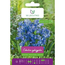 Sibiřská cibule - modrá - 6 ks. - Cibule a oddenky - W. Legutko Sibiřská cibule - modrá - 6 ks. - Cibule a oddenky - W. Legutko