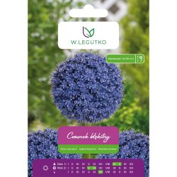 Česnek - modrý - modrý - 5 ks. - Cibule a oddenky - W. Legutko Česnek - modrý - modrý - 5 ks. - Cibule a oddenky - W. Legutko
