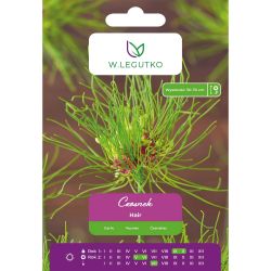 Česnek - Vlasy - fialovo-zelený - 5 ks. - Cibule a oddenky - W. Legutko Česnek - Vlasy - fialovo-zelený - 5 ks. - Cibule a oddenky - W. Legutko