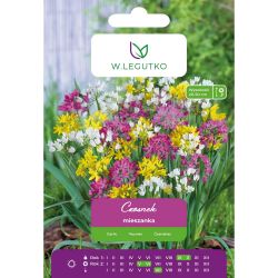 Česnek - směs - 10 ks. - Cibule a oddenky - W. Legutko Česnek - směs - 10 ks. - Cibule a oddenky - W. Legutko