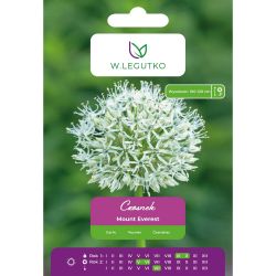 Česnek - Mount Everest - bílý - 1 ks. - Cibule a oddenky - W. Legutko Česnek - Mount Everest - bílý - 1 ks. - Cibule a oddenky - W. Legutko