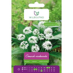 Česnek - divoký - bílý - 3 ks. - Cibule a oddenky - W. Legutko Česnek - divoký - bílý - 3 ks. - Cibule a oddenky - W. Legutko
