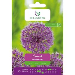 Česnek - Violet Beauty - fialový - 4 ks. - Cibule a oddenky - W. Legutko Česnek - Violet Beauty - fialový - 4 ks. - Cibule a oddenky - W. Legutko