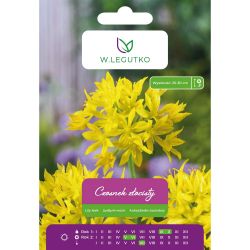 Česnek - zlatožlutý - 10 ks. - Cibule a oddenky - W. Legutko Česnek - zlatožlutý - 10 ks. - Cibule a oddenky - W. Legutko