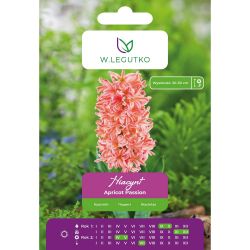 Hyacint - Apricot Passion - pastelově růžová - 2 ks. - Cibule a oddenky - W. Legutko Hyacint - Apricot Passion - pastelově růžová - 2 ks. - Cibule a oddenky - W. Legutko