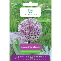 Česnek - Karatavský - šedo-bílý - 3 ks. - Cibule a oddenky - W. Legutko Česnek - Karatavský - šedo-bílý - 3 ks. - Cibule a oddenky - W. Legutko